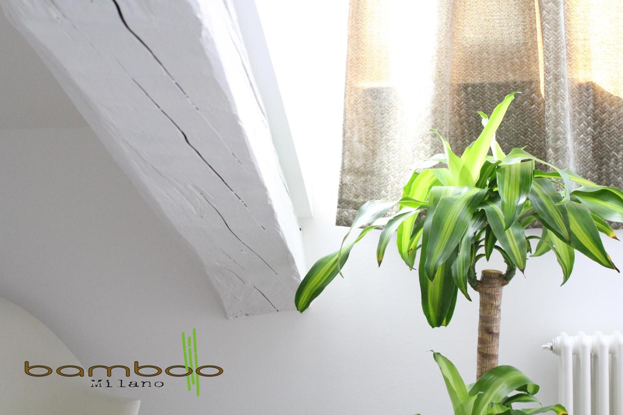 Apartamento Bamboo Milano Isonzo Exterior foto